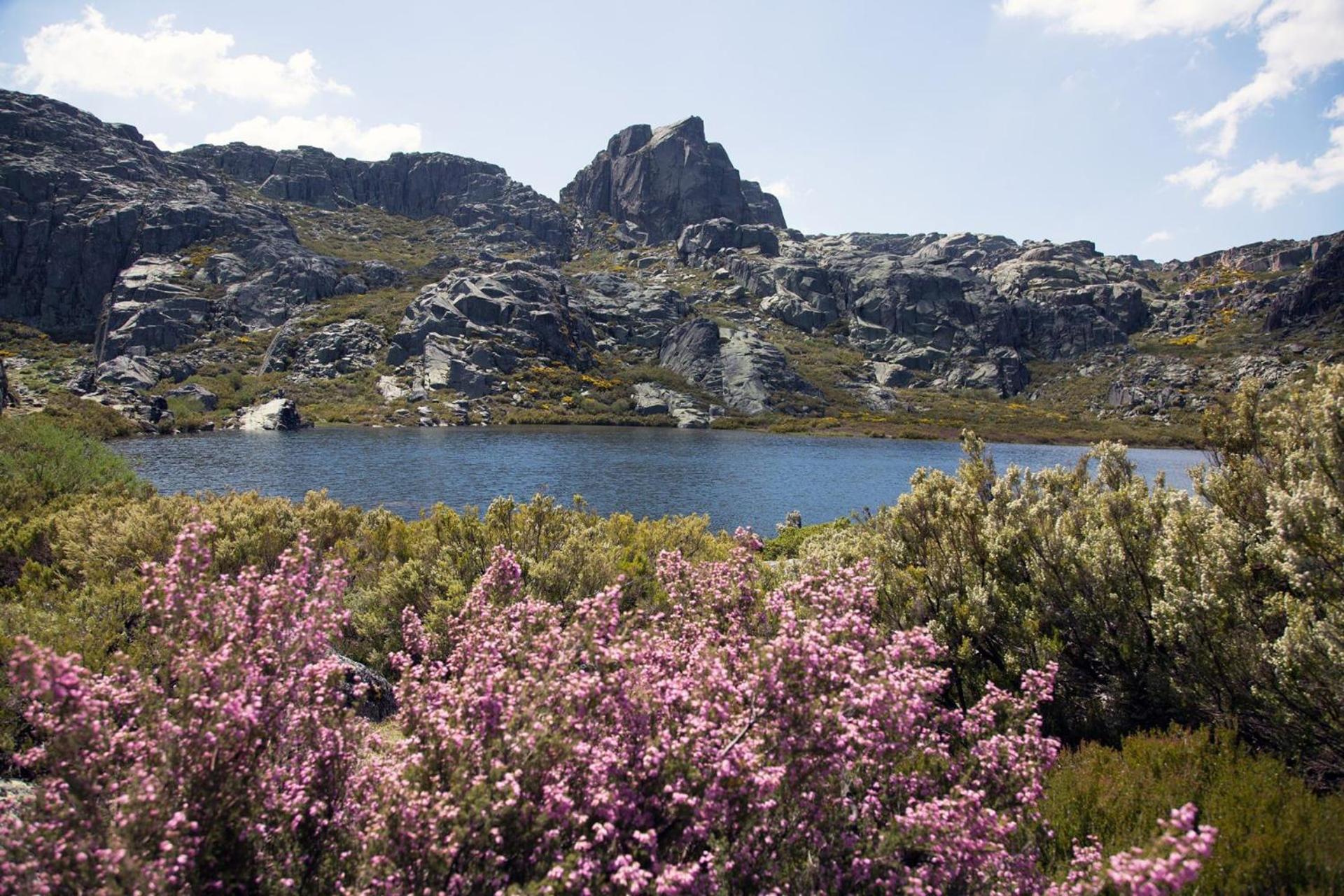 Mountain Lodge T3 Duplex Abrigo Do Lobo Covilha Luaran gambar