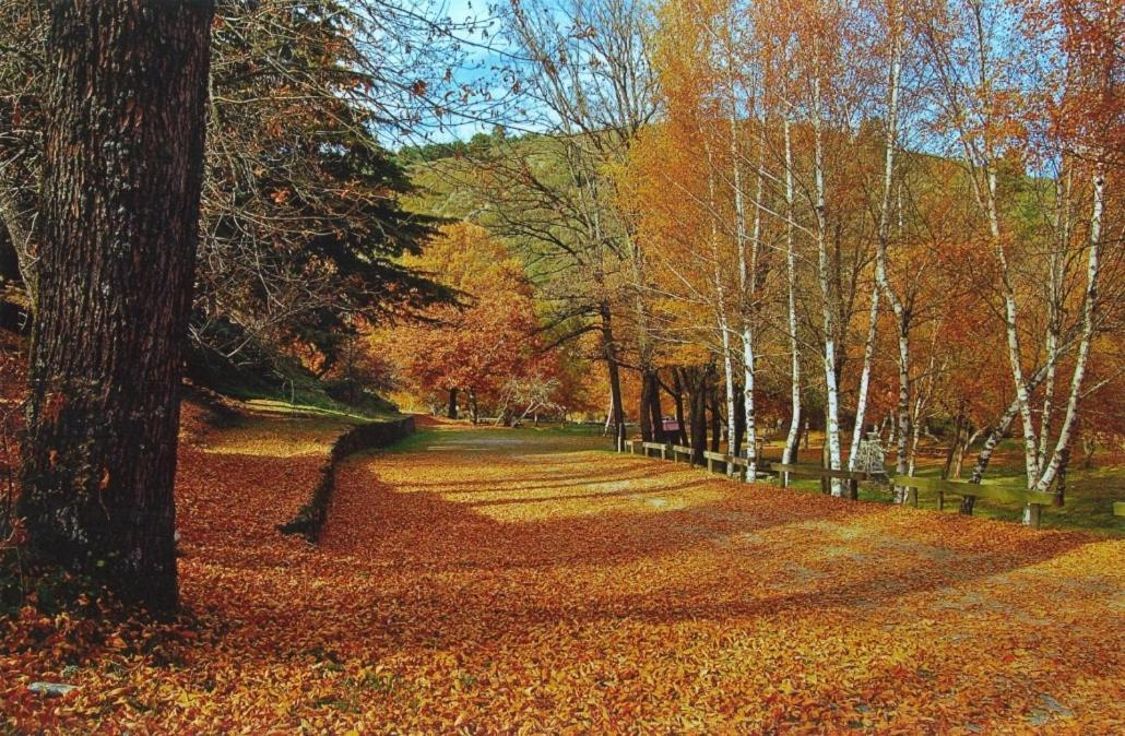 Mountain Lodge T3 Duplex Abrigo Do Lobo Covilha Luaran gambar