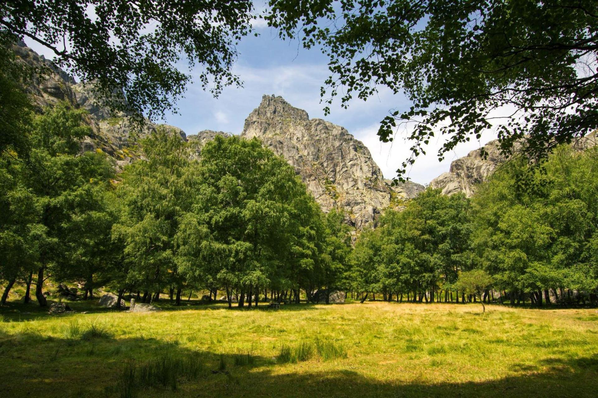 Mountain Lodge T3 Duplex Abrigo Do Lobo Covilha Luaran gambar